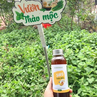 Siro Ho Thảo Mộc Dân Gian Điềm Kim