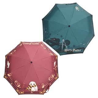 Dù Tròn In Hình Harry Potter Độc Đáo