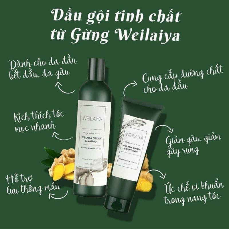 [ chính hãng ] Giàu gội đầu thảo dược WEILAIYA hà thủ ô giúp dưỡng tóc