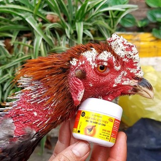 mốc bôi ưu việt