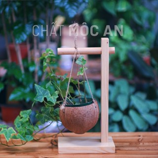 Kệ Treo Cây Giá Treo Cây Treo Chuông Gió Treo Khánh Phật Chậu Cây Gỗ Tự Nhiên Trồng Cây Chậu Cây Cảnh Để Bàn. 