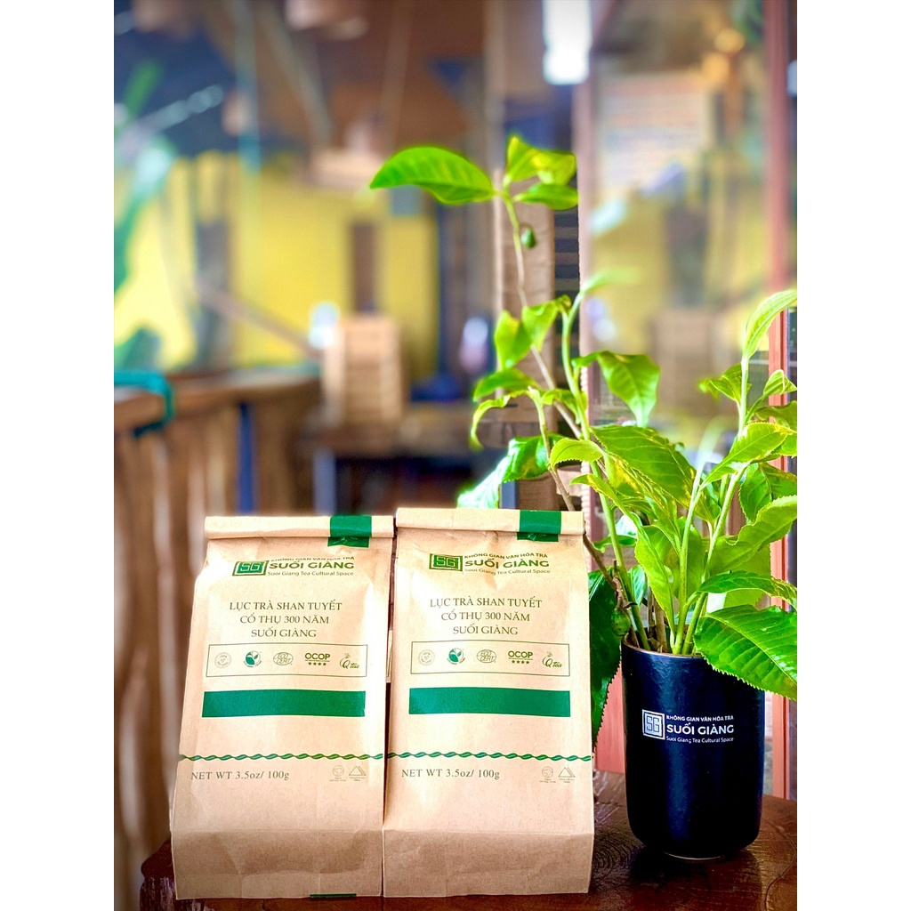 Qtea Lục trà Shan tuyết cổ thụ Suối Giàng 100g