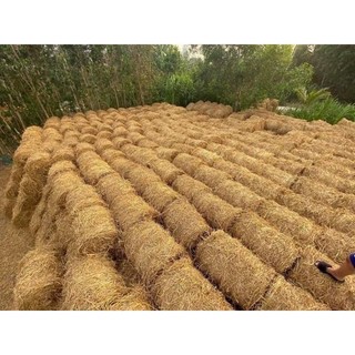 1kg Rơm khô Củ Chi - rơm rạ trồng cây , lót ổ gà , trang trí sân vườn, decor