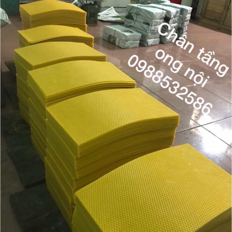 CHÂN TẦNG ONG NỘI