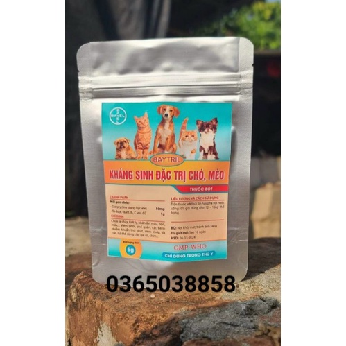 Đặc trị đường ruột cho chó mèo