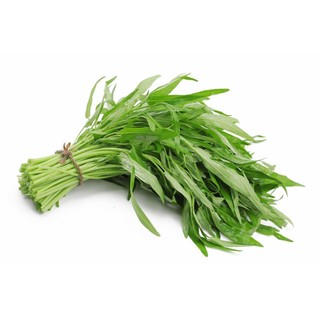 50H -Hạt_Giống_Rau_Muống ( tặng kèm kích mầm và phân bón )