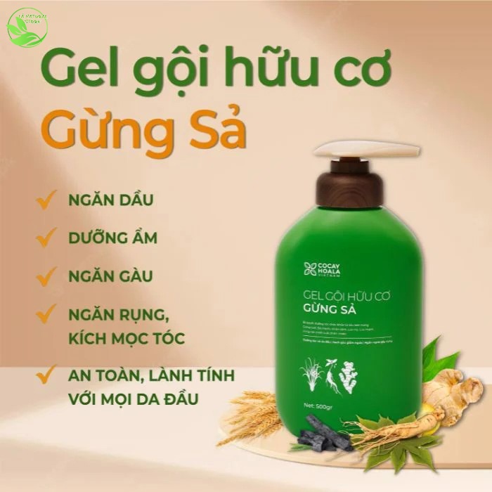 Dầu gội gừng sả hữu cơ cocayhoala làm sạch sâu da đầu, giảm tóc bết, ngăn rụng tóc