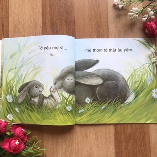 Sách - Vì sao tớ yêu ( bộ 4 cuốn)