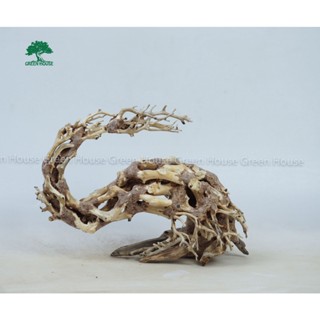 Lũa Bonsai, Lũa thủy sinh dùng trang trí hồ cá cảnh, hồ thủy sinh, văn phòng, nhà cửa- NHÀ XANH