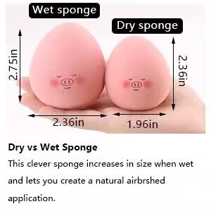 Trang điểm ướt và khô. Con lợn dễ thương.