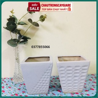 Chậu gốm sứ trồng hoa trồng cây để bàn, để bàn văn phòng, để ban công, kích cỡ đa dạng, nhiều kiểu mẫu đồng giá