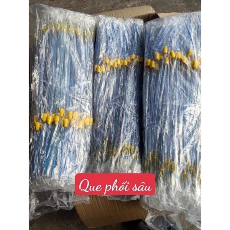que phối -vòi phối tinh heo sâu cho heo lái