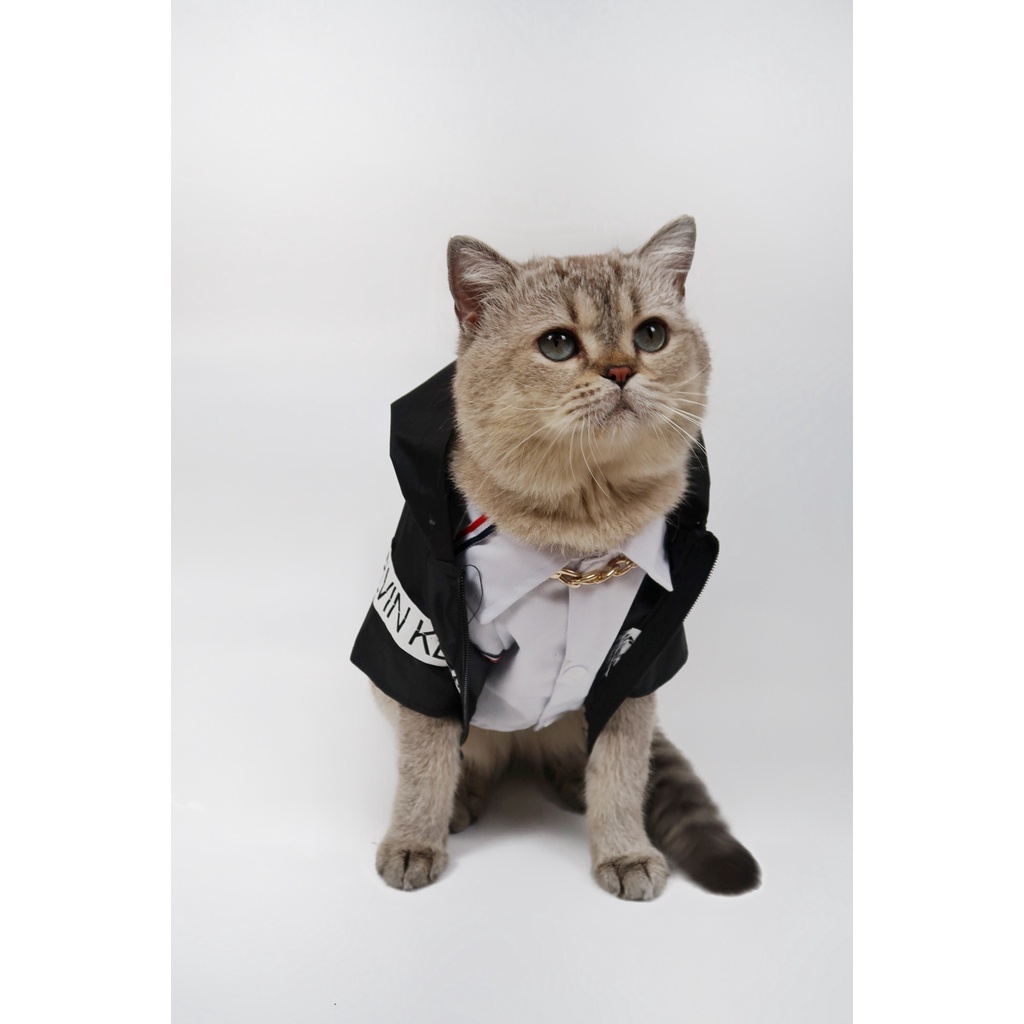 Quần áo chó mèo Áo khoác dây kéo có nón họa tiết sọc trắng in chữ đầy cá tính