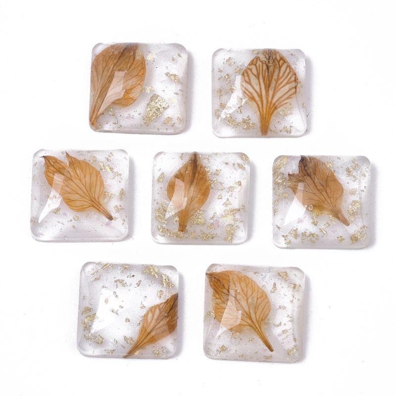 Bộ 2-5 Bông Hoa Khô Trong Suốt 20x7~9mm