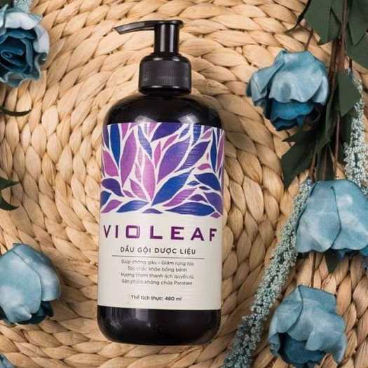Bộ dầu gội &amp; sữa tắm thảo dược Violeaf 480ml - Sao Thái Dương
