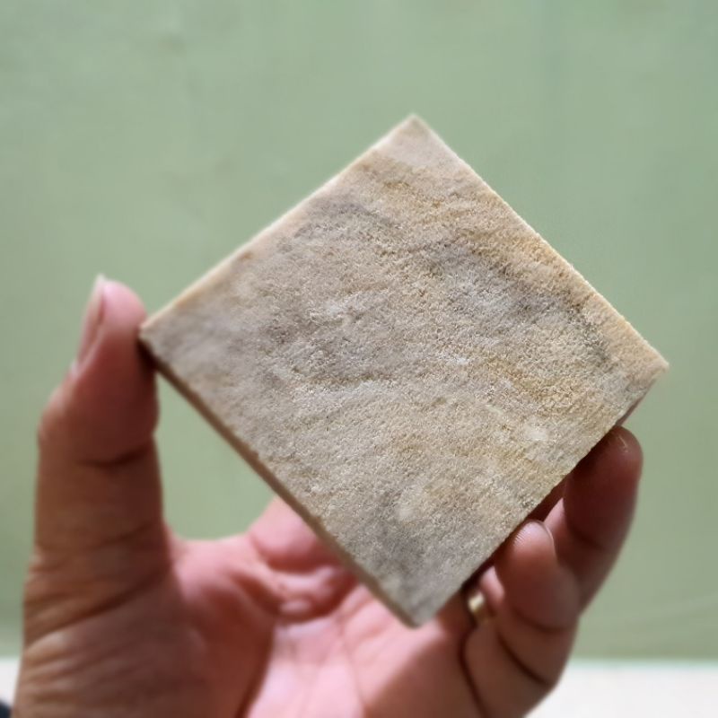 Đế frag gắn san hô
