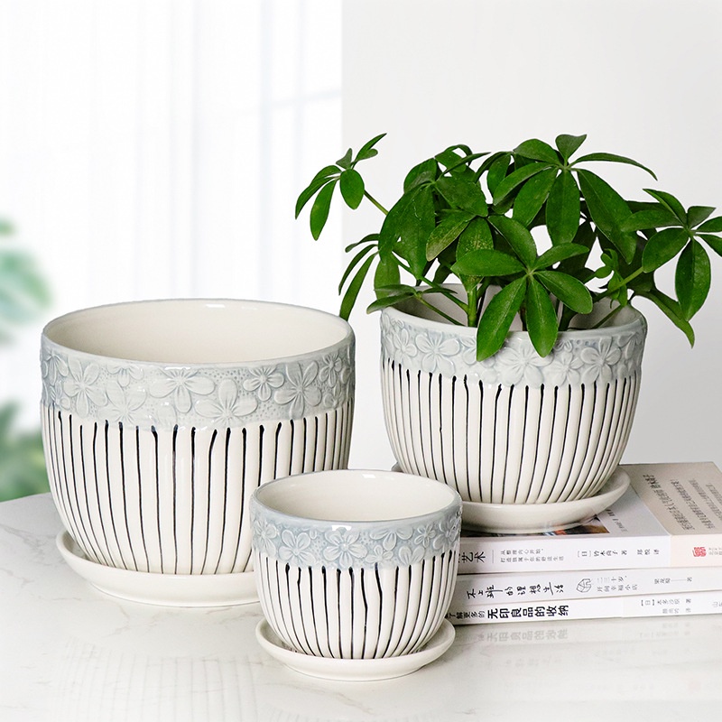 Chậu sứ trồng cây kèm đĩa hứng nước, trồng cây để bàn