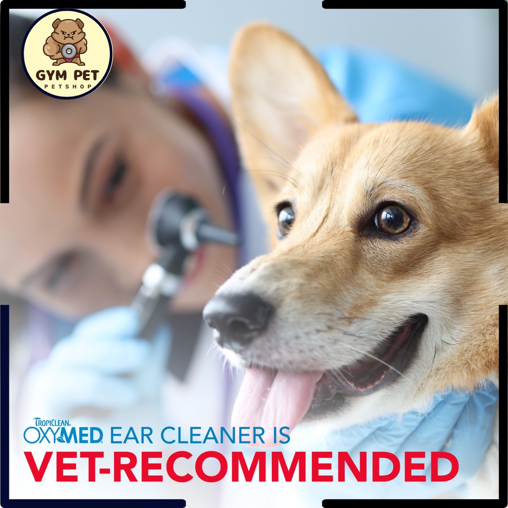 DUNG DỊCH VỆ SINH TAI CHÓ, MÈO TROPICLEAN OXYMED LÀM SẠCH GÁY TAY - NGĂN VI.ÊM TAI - HÔI TAI NHẬP KHẨU MỸ 118ml