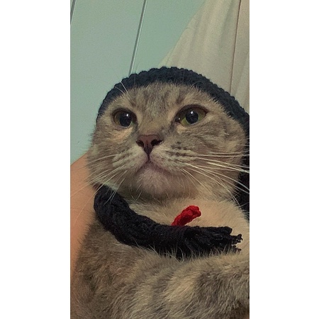 Nón len cho hamster, sóc, bọ, thỏ,mèo v.v...