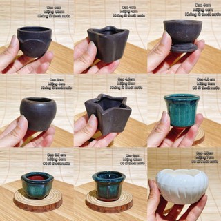 Chậu bí gốm sứ mini cao 4,5 cm