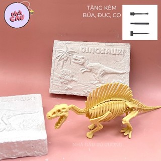 Bộ khảo cổ đi tìm dấu tích khủng long, đào ra 1 mô hình khủng long lớn ngẫu nhiên