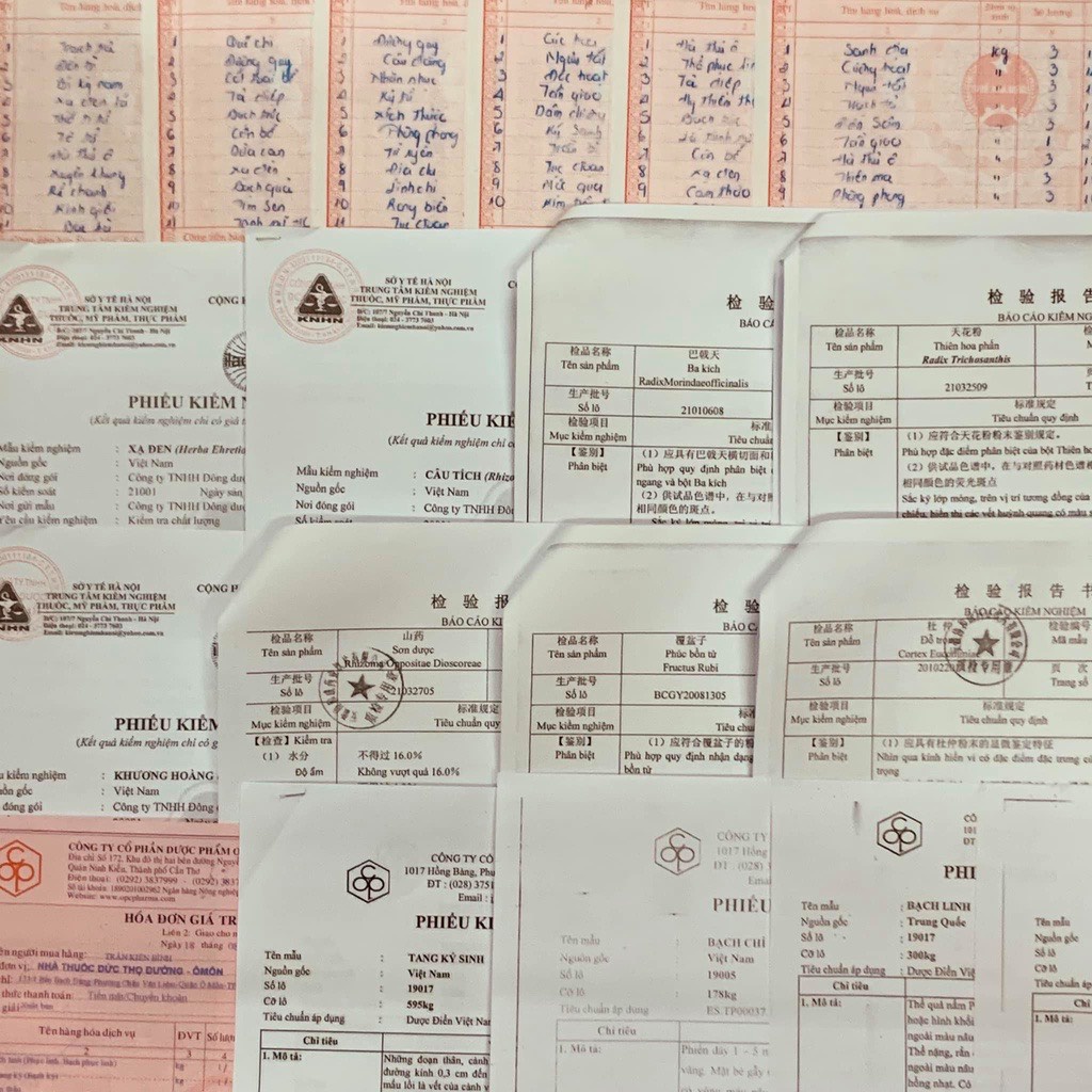 Khương Hoạt - loại thường - Túi 100g