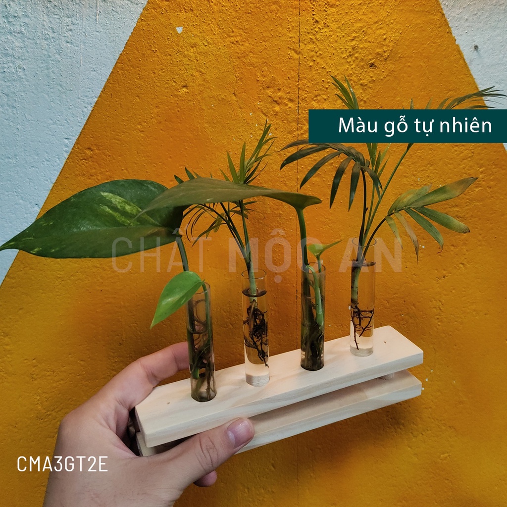 Combo Kệ Gỗ, Đế Gỗ Để Bàn, Trang Trí Bàn Làm Việc, Gắn Ống Nghiệm Trồng Cây Thủy Sinh, Hoa Khô 05
