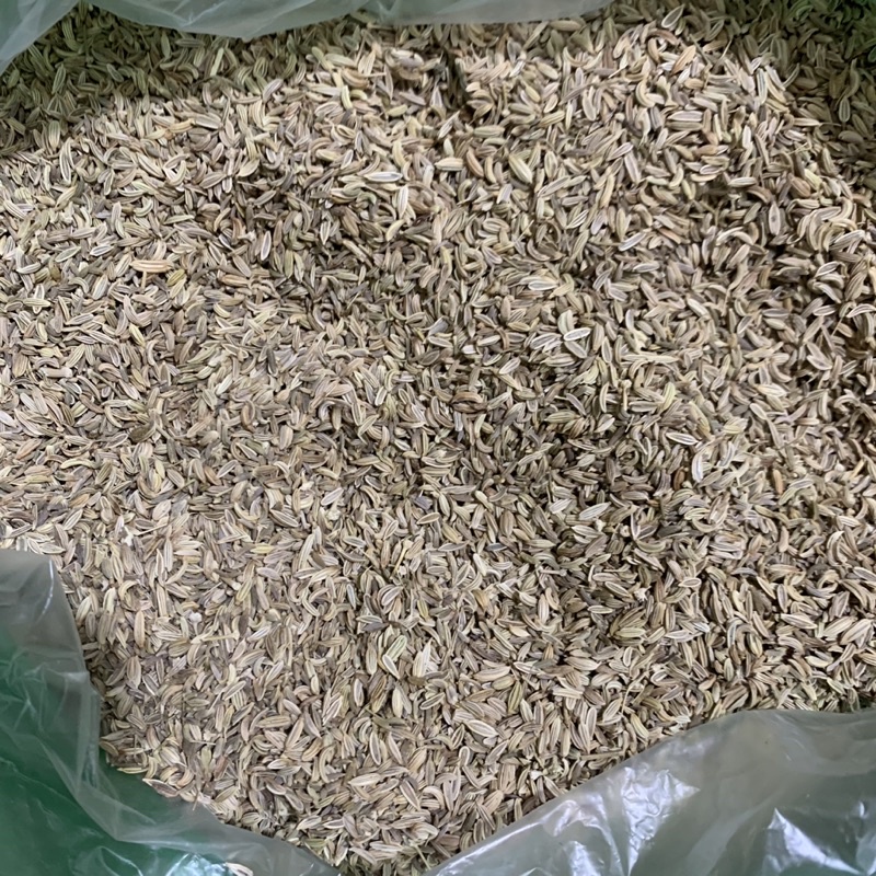 Hạt tiểu hồi( tiểu hồi hương )- 100g