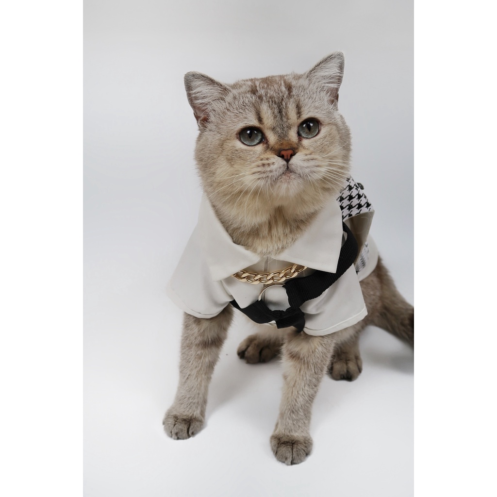 Quần áo chó mèo áo sang chảnh thời thượng + tặng kèm túi