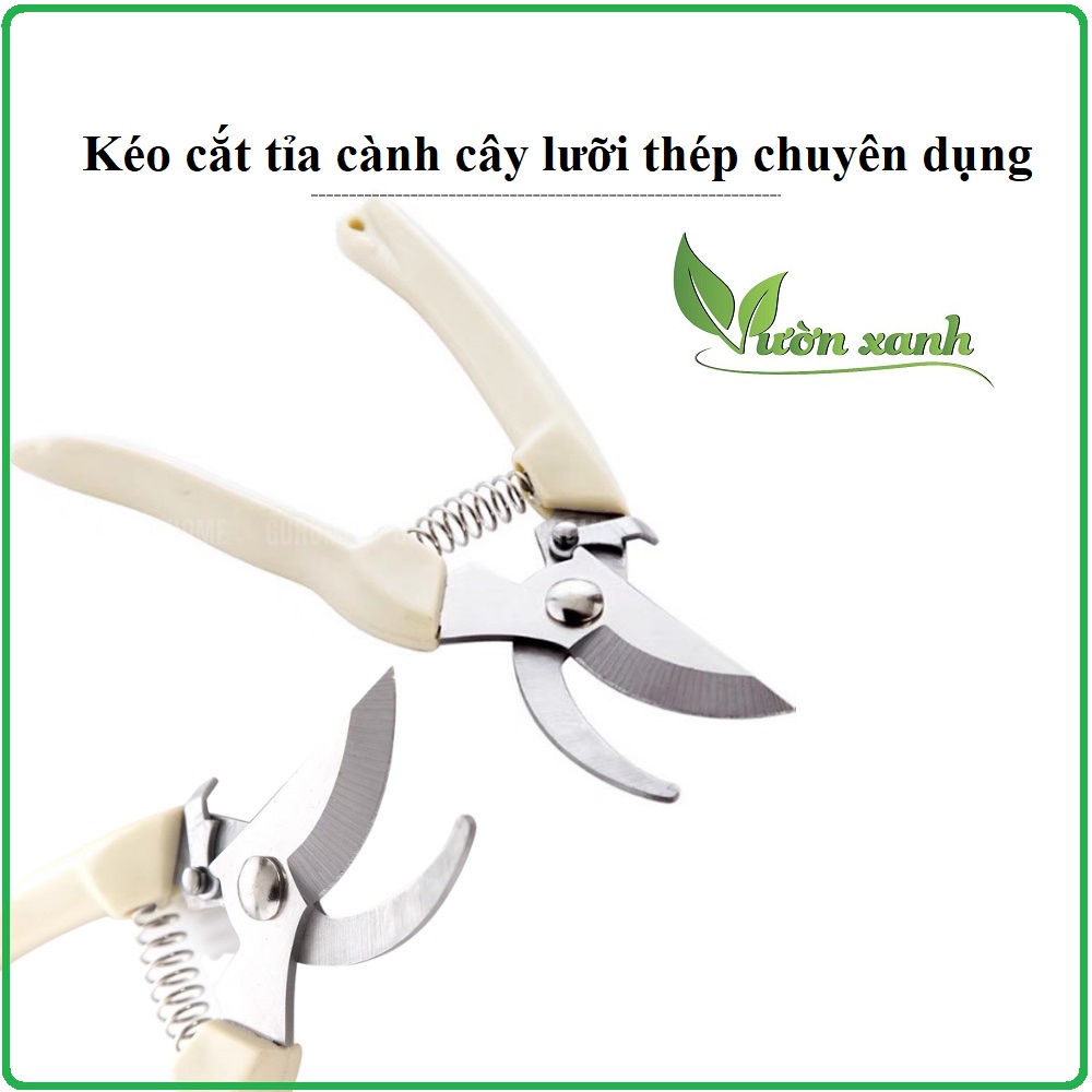 Kéo cắt cành cây lưỡi thép chuyên dụng