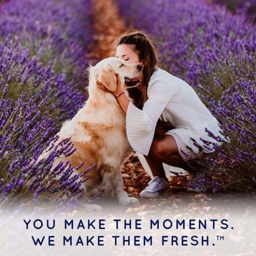 Xịt dưỡng lông - nước hoa cho chó mèo Tropiclean nước hoa tự nhiên spa cao cấp chai 236ml