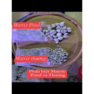 Vật liệu lọc Matrix Pond và Matrix Thường