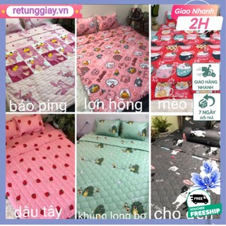 [2.2]Xã Kho 300 Bộ chăn hè ga gối 5 món poly cotton ( ib shop chọn mẫu mẫu)