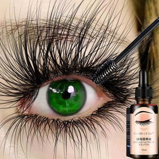Dưỡng Lông Mi Serum lông mi kích mọc râu lông mi Tinh Dầu Dưỡng Lông Mi Giúp Mọc Dài Dày Kích thích nhanh mọc lông mi