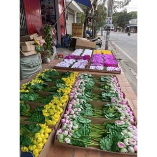 Cành  hoa sen xốp  2 bông,  1 nụ
