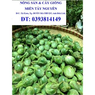 1 kg trái cà đắng [ cam kết 100% tươi ngon, siêu đắng chuẩn đặc sản đồng bào tây nguyên ] (