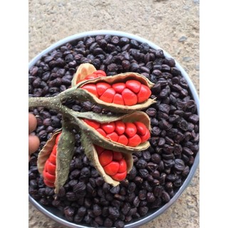 1kg HẠT DỔI