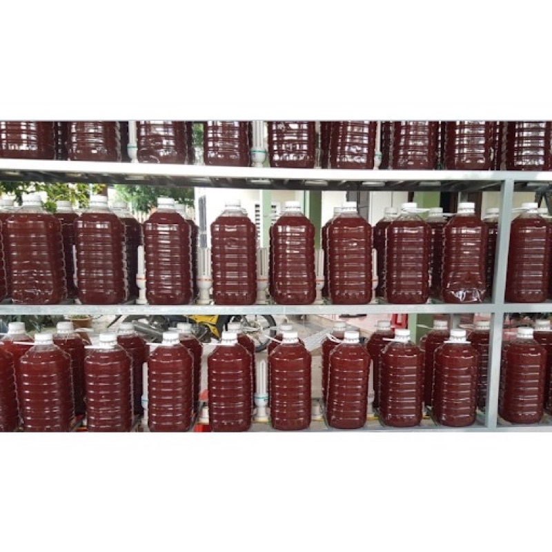 Vi sinh quang hợp PSB 25k/1lít
