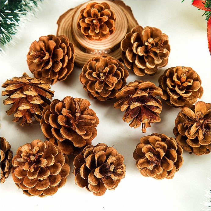 Mô hình quả thông trang trí giáng sinh decor mô hình Noel, trang trí cây thông