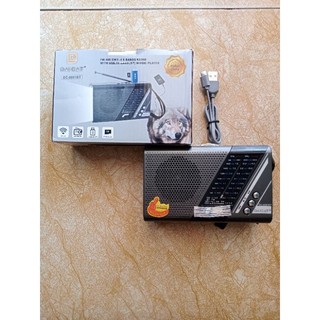 Đài Radio Bắt Bluetooth Radio Cầm Tay - Có Đèn Bin.Bắt đài FM/AM/SW Hỗ Trợ Thẻ Nhớ,USB.Phát Loa To.Nghe Nhạc Miễn Chê.