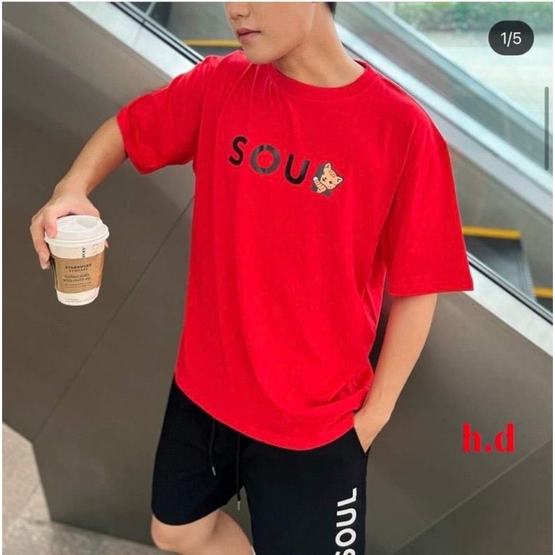 Bộ nam mèo sou HD12