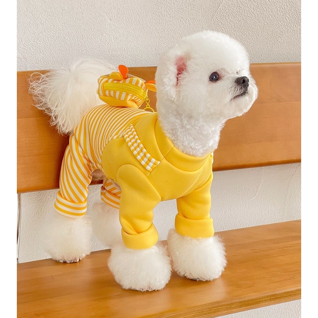 JUM HƯƠU VÀNG KÈM TÚI XINH XẮN, LÓT LÔNG ẤM ÁP MÙA ĐÔNG CHO THÚ CƯNG