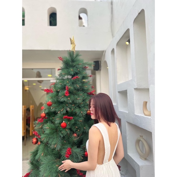 Mango auth săn sale nấc cuối size s