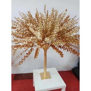 Táo đồng 5nhánh