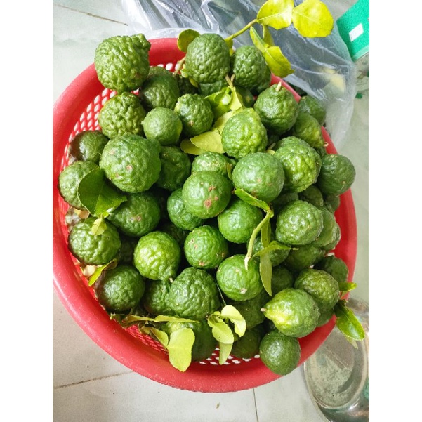 Combo 2 kg trái chúc, chanh thái giá 180k. Hàng tươi mới bẻ khi khách đặt hàng.