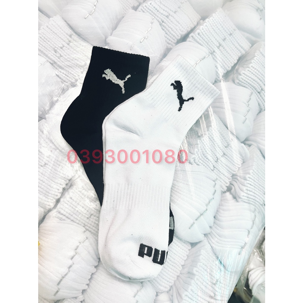 tát dẹt kim cotton cao cổ 16-18cm P/U.MA trắng lửng