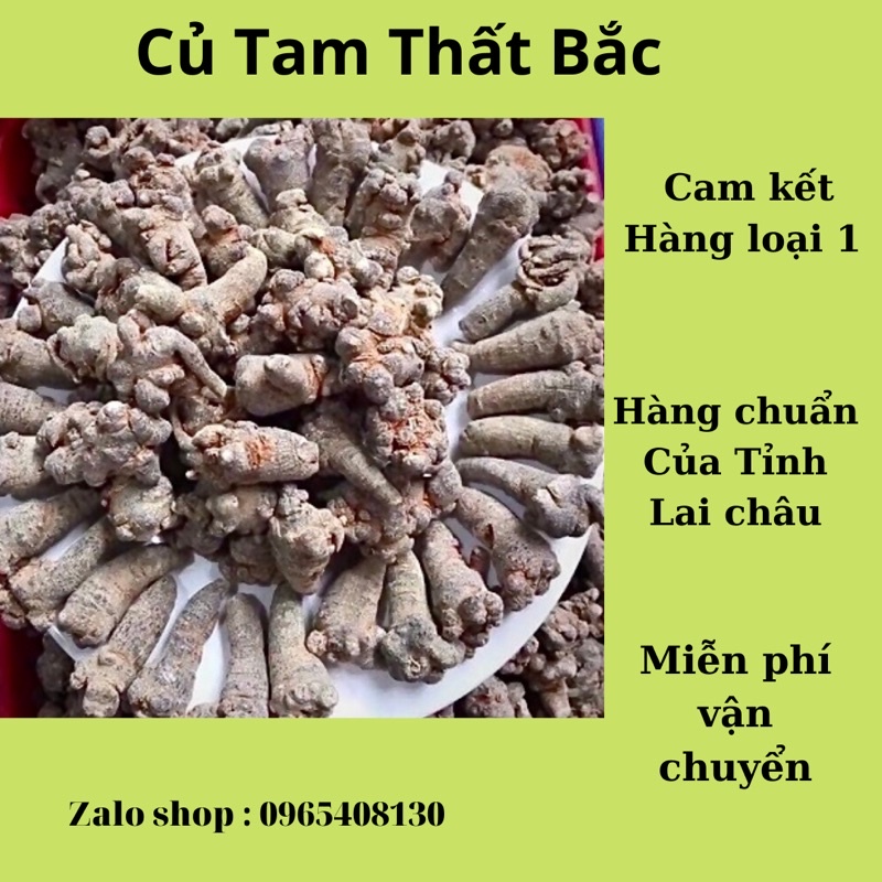 Củ Tam Thất Bắc Hàng Chuẩn Lai Châu ( Giá Sốc )