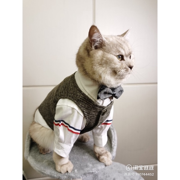 VEST dành cho thú cưng