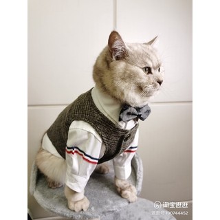 VEST dành cho thú cưng (vest, gile dành cho chó mèo)