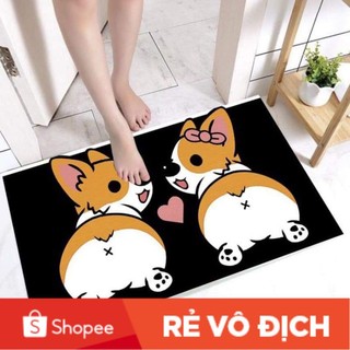 [RẺ VÔ ĐỊCH] THẢM LAU CHÂN 3D